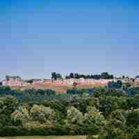 Forêt domaniale de Coucy Basse
