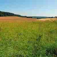 MARAIS DE LA COMBE DES RIOTS