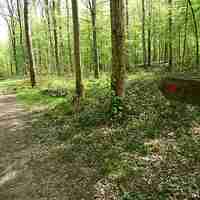 La forêt domaniale de Vauclair