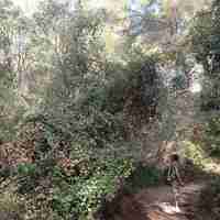 Les parcours du Grand Parc de Figuerolles