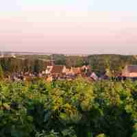 Domaine Cordier