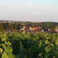 Domaine Daniel
