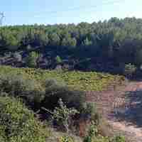 Sentier des vignerons - Boucle de la Venise Provençale