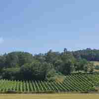 Domaine Hegaldaka