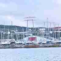 Port Terra