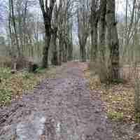 Bois de Vincennes