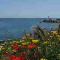 Le Marin Surf Shop