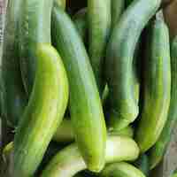 Les Légumes d'Émilie