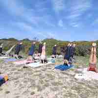 Blue Shala yoga
